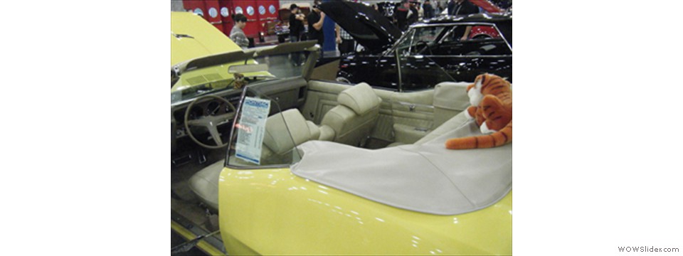 HoustonAutorama2012_0042